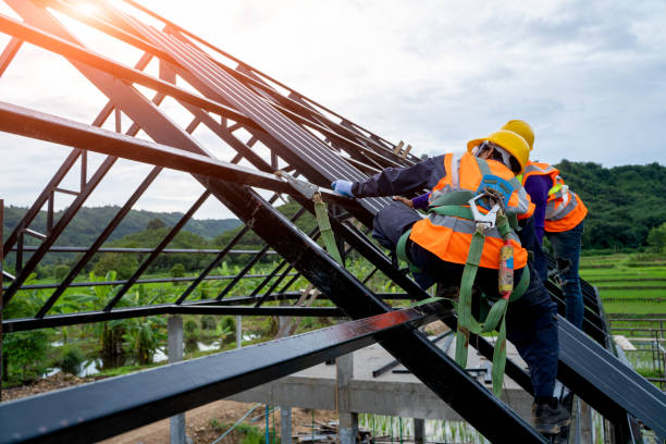 Roof Gutter Cleaning in Biola, CA
