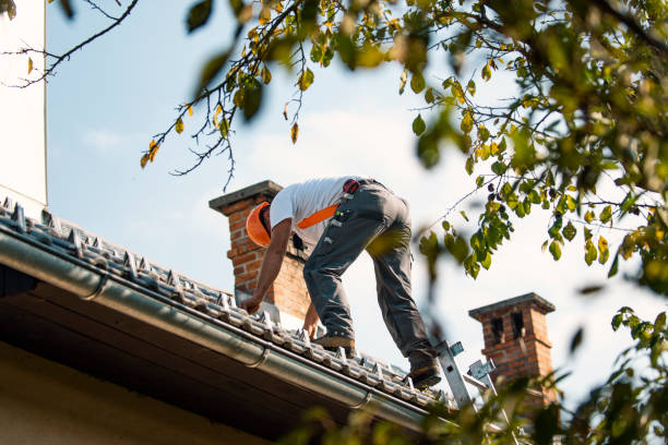 Best Roof Gutter Cleaning  in Biola, CA